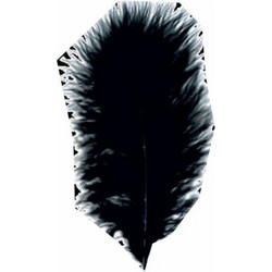 ΠΟΥΠΟΥΛΑ 10-12CM /17ΤEM MARABOU ΜΑΥΡΑ 19624010
