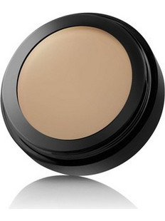 Paese Artist Long Cover Camouflage 60 Golden Concealer 5.5ml