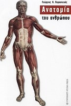 Ανατομία του ανθρώπου