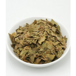 Divinum Γκίνγκο Mπιλόμπα 30gr