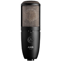 AKG P420 Perception Πυκνωτικό Μικρόφωνο XLR