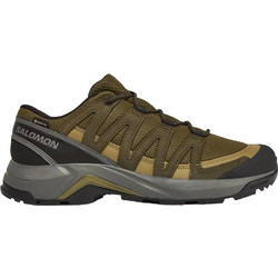 Salomon X-Adventure Recon Ανδρικά Ορειβατικά Παπούτσια Αδιάβροχα Gore-Tex Χακί L8131200