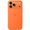 Apple Silicone MagSafe Back Cover Orange (iPhone 17 Pro Max)
