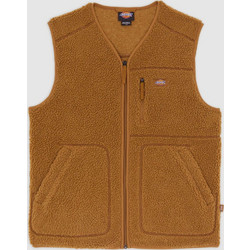 Dickies Αμάνικο Ανδρικό Μπουφάν Καφέ DK0A4YEG0BD
