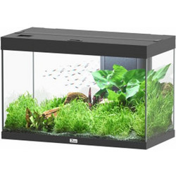 Aquatlantis Aquatlantis Splendid 80 Ενυδρείο Ψαριών με Φωτισμό, Θερμαντήρα & Φίλτρο 146lt Μαύρο