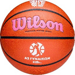 Wilson Evo NXT A2 Greece Indoor WZ1022201XB6