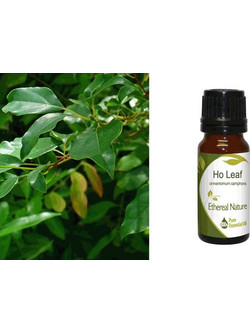 Nature & Body Αιθέριο Έλαιο Καμφορά 10ml