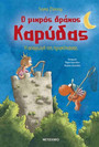Ο μικρός δράκος Καρύδας 30