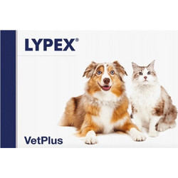 VetPlus Lypex Συμπλήρωμα Διατροφής Σκύλου & Γάτας για Γαστρεντερικές Διαταραχές 60 Κάψουλες