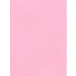 Favini Χαρτόνι Κανσόν Ροζ 50x70cm 831.5070.26T