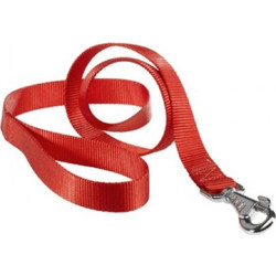 Ferplast Club Λουρί Σκύλου 1.2m x 20mm Κόκκινο