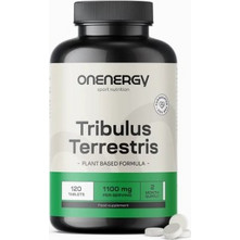 OnEnergy Tribulus Terrestris 120 Ταμπλέτες