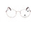 Lanvin LNV2124 700 Γυναικείος Σκελετός Γυαλιών Οράσεως Μεταλλικός Ασημί