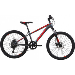 Carrera Junior Παιδικό Mountain Bike 24" Γκρι Κόκκινο