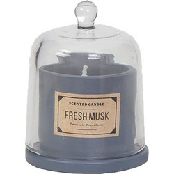 Αρωματικό Κερί σε Βάζο Fresh Musk με Γυάλινο Καπάκι 100gr Espiel COC212K12a σιελ