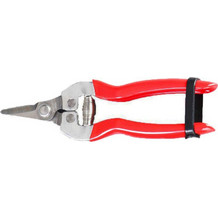 ΨΑΛΙΔΙ ΤΡΥΓΟΥ ΚΥΡΤΟ ΚΟΝΤΟ AGROFORCE INOX 16.5cm