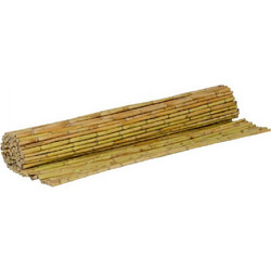 SHOWOOD Καλάμι Ολόκληρο Διετές 250x300cm O20-25mm (250300)