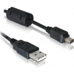 DELOCK USB V. 2.0 mini cable OLYMPUS 12pin 82417