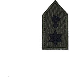 ΣΗΜΑ ΤΑΓΜΑΤΑΡΧΗ ΠΕΤΟΥ
