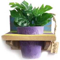 Roots Κρεμαστό Ξύλινο Ράφι με Γλάστρα 1τμχ 14cmx13cmx12cm