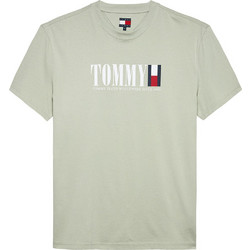 Tommy Hilfiger Ανδρική κοντομάνικη μπλούζα Logo Crew Neck T-Shirt DM0DM21941-M1C
