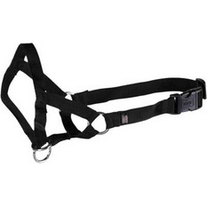 Trixie Εκπαιδευτικός Οδηγός Ρύχγους Large 31cm