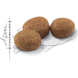 Royal Canin Sterilised 37 Ξηρά Τροφή για Στειρωμένες Γάτες 1kg