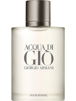 Giorgio Armani Acqua Di Gio Pour Homme Eau de Toilette 100ml