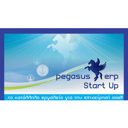 ΤΕΣΑΕ ΠΗΓΑΣΟΣ ERP Start Up