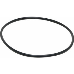 Fluval Motor Seal Ring A20038
