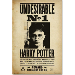 Harry Potter Undesirable Number 1 poster