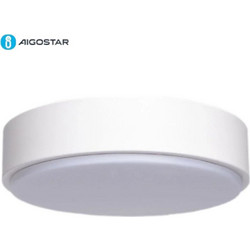 LED Πλαφονιέρα Οροφής 24 W Διαμέτρυ 40 cm - Ψυχρός Λευκός Φωτισμός