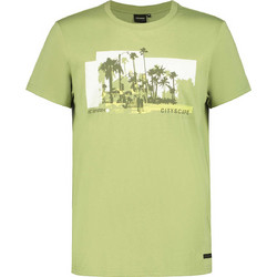 ICEPEAK Ανδρική μπλούζα AKERI GREEN άνδρες