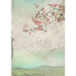 Stamperia Ριζόχαρτο Decoupage A4 (21X29,7cm) House of Roses Branch