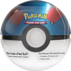 Pokemon Μπάλα TCG 2024 (V2) (POK102734)