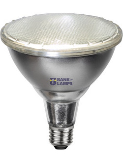 LED Lamp PAR38 E27 Outdoor Spotlight