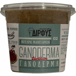 ΔΙΡΦΥΣ Ganoderma Lucidum, Πούδρα Μανιταριού - 120gr
