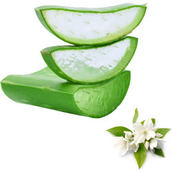 Gaia Products Jasmine After Sun Gel Σώματος 100gr