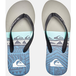 Quiksilver Molokai Panel Ανδρικές Σαγιονάρες Αντιολισθητικές Πολύχρωμες AQYL101263-XSKB