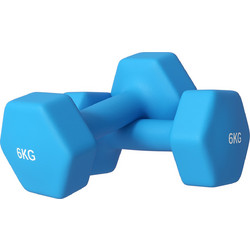 Sportnow Σετ Βαράκια Εξάγωνα Πλαστικοποιημένα 2x6kg