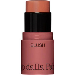Diego Dalla Palma All in One Blush 42 Salmone Stick Blush
