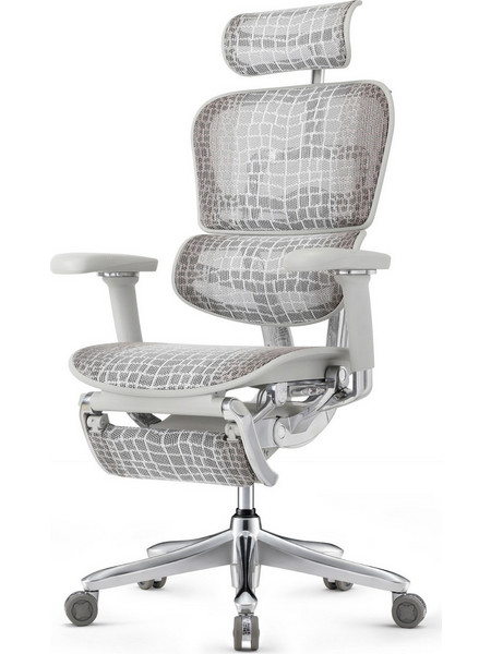 Comfort Workspace Ergohuman Special Edition Καρέκλα Διευθυντική με Προσκέφαλο Στήριξη Μέσης Ανάκλιση και Ρυθμιζόμενα Μπράτσα Γκρι 113964