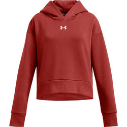 Under Armour Παιδικό Φούτερ με Κουκούλα Rusted 1379517-840
