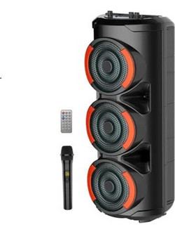ZQS-3601 Σύστημα Καραόκε με Ασύρματο Μικρόφωνο