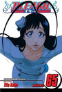 Bleach, Vol. 65 Bleach, Vol. 65