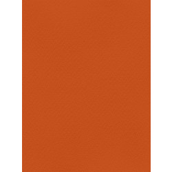 Favini Χαρτόνι Κανσόν Πορτοκαλί 70x100cm 831.70100.09T