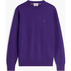 Tommy Hilfiger Ανδρικό Πουλόβερ Μωβ MW0MW28046-VOH