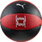 Puma Team Jaws 085315-02