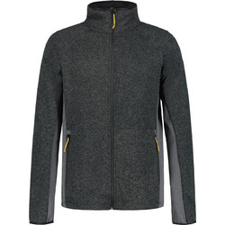 Icepeak Ανδρική Ζακέτα Fleece με Φερμουάρ Ανθρακί 2-57731-872-818
