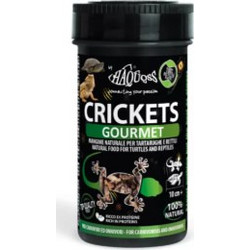 Haquoss Crickets gourmet 1000ml
